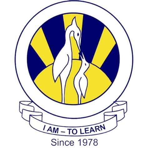 the city school ams